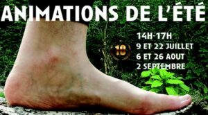 Nos animations en juillet