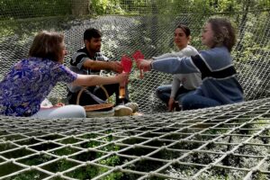 Privatisez les filets dans les arbres